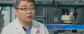 清吉清枫官网
