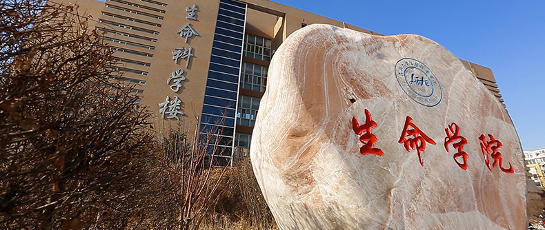清吉清枫官网