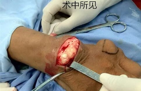 清吉清枫