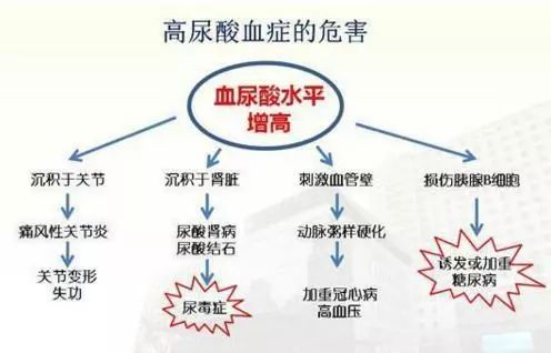 清吉清枫